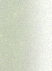 Primary Raster logo